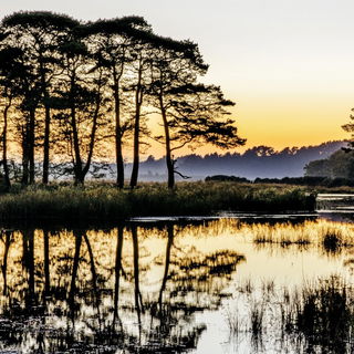 Neon Undertow style, Midjourney V6.1: realistic landscape photograph of quiet dawn