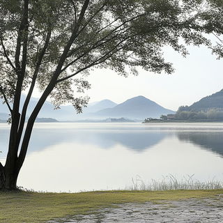 Mycoclastica style, Midjourney V6.1: realistic landscape photograph of quiet dawn