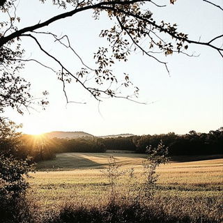 Solmushroom Baroque style, Midjourney V6.1: realistic landscape photograph of quiet dawn