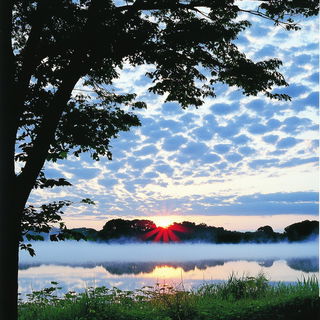 Asterocartoon style, Midjourney V6.1: realistic landscape photograph of quiet dawn