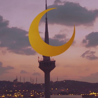 Redtide Tapestry style, Midjourney V6.1: bold minimalist logo design for Istanbul city municipal services