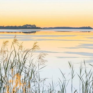 Rosaflect style, Midjourney V6.1: realistic landscape photograph of quiet dawn