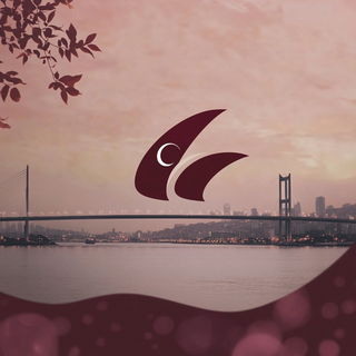 Craterbraid style, Midjourney V6.1: bold minimalist logo design for Istanbul city municipal services