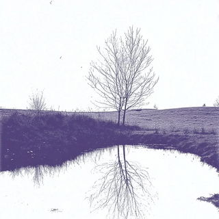 Botaniflux style, Midjourney V6.1: realistic landscape photograph of quiet dawn