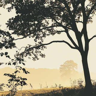 Aureopatina style, Midjourney V6.1: realistic landscape photograph of quiet dawn