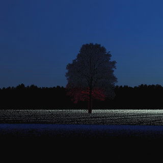 Carnivallucence style, Midjourney V6.1: realistic landscape photograph of quiet dawn