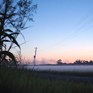 Gawkermask style, Midjourney V6.1: realistic landscape photograph of quiet dawn