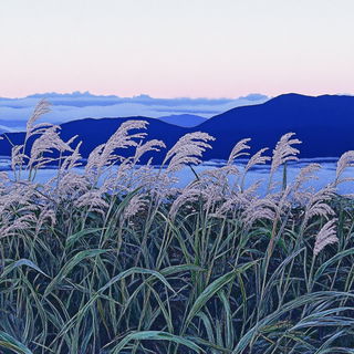 Cracklefeather style, Midjourney V6.1: realistic landscape photograph of quiet dawn