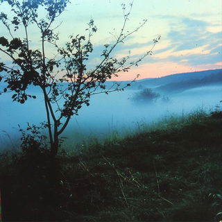 Axialectica style, Midjourney V6.1: realistic landscape photograph of quiet dawn