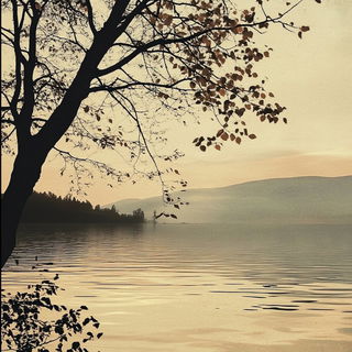 Lanterncut Cinema style, Midjourney V6.1: realistic landscape photograph of quiet dawn
