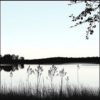Floraeronautica style, Midjourney V6.1: realistic landscape photograph of quiet dawn