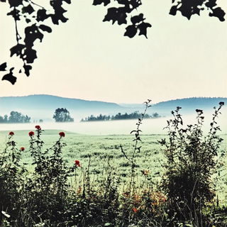 Kakemono Drift style, Midjourney V6.1: realistic landscape photograph of quiet dawn