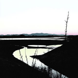 Planetary Weft style, Midjourney V6.1: realistic landscape photograph of quiet dawn