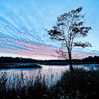 Dustmantle style, Midjourney V6.1: realistic landscape photograph of quiet dawn