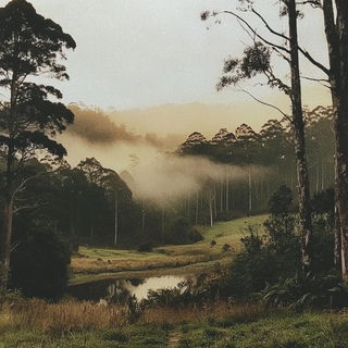 Zodiac Orchard style, Midjourney V6.1: realistic landscape photograph of quiet dawn