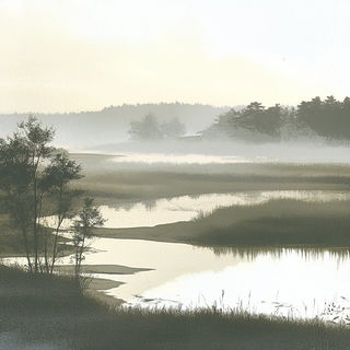 Redwing Passage style, Midjourney V6.1: realistic landscape photograph of quiet dawn