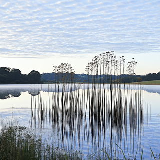 Smokeplate style, Midjourney V6.1: realistic landscape photograph of quiet dawn