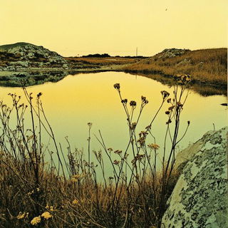 Emblematic Coloratura style, Midjourney V6.1: realistic landscape photograph of quiet dawn