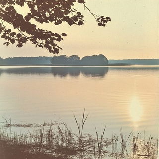 Petalcut style, Midjourney V6.1: realistic landscape photograph of quiet dawn