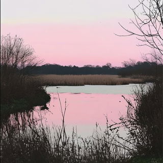 Glazewake style, Midjourney V6.1: realistic landscape photograph of quiet dawn
