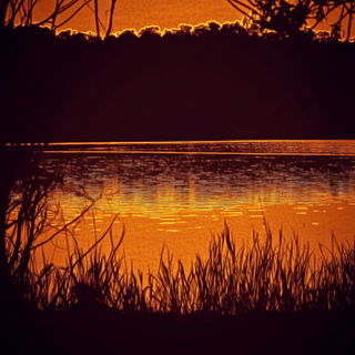 Blackwork Anthropica style, Midjourney V6.1: realistic landscape photograph of quiet dawn