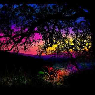 Gouachecosm style, Midjourney V6.1: realistic landscape photograph of quiet dawn
