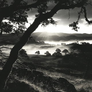 Balustradion style, Midjourney V6.1: realistic landscape photograph of quiet dawn