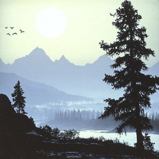 Floranomadics style, Midjourney V6.1: realistic landscape photograph of quiet dawn