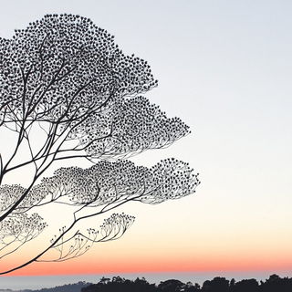 Oxyroot style, Midjourney V6.1: realistic landscape photograph of quiet dawn
