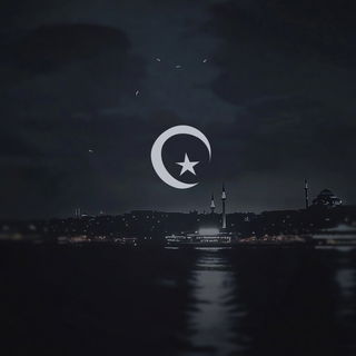 Ravenry Boneweave style, Midjourney V6.1: bold minimalist logo design for Istanbul city municipal services