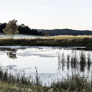 Valleygouache style, Midjourney V6.1: realistic landscape photograph of quiet dawn