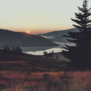 Sporeburst Figures style, Midjourney V6.1: realistic landscape photograph of quiet dawn