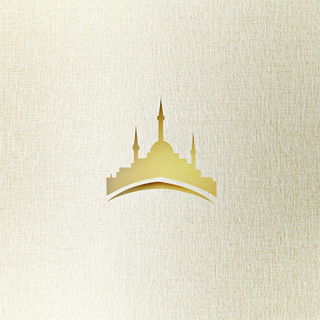 Cryodragonism style, Midjourney V6.1: bold minimalist logo design for Istanbul city municipal services