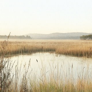 Aurorafolk style, Midjourney V6.1: realistic landscape photograph of quiet dawn