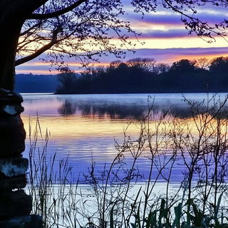 Solitudecollage style, Midjourney V6.1: realistic landscape photograph of quiet dawn
