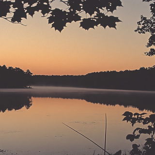 Faunaferrugine style, Midjourney V6.1: realistic landscape photograph of quiet dawn
