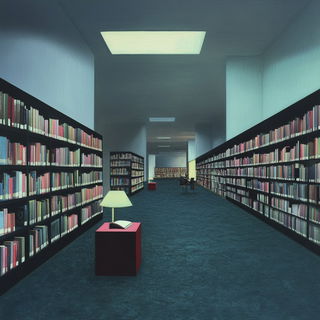 Turbid Reprographism style, Midjourney V6.1: Midlibrary