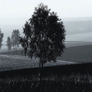 Facetterosion style, Midjourney V6.1: realistic landscape photograph of quiet dawn