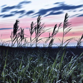 Windplate style, Midjourney V6.1: realistic landscape photograph of quiet dawn