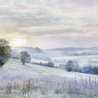 Blackwash Cenobitism style, Midjourney V6.1: realistic landscape photograph of quiet dawn
