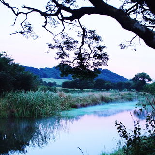 Ringskin style, Midjourney V6.1: realistic landscape photograph of quiet dawn