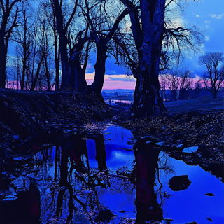 Operamorph style, Midjourney V6.1: realistic landscape photograph of quiet dawn
