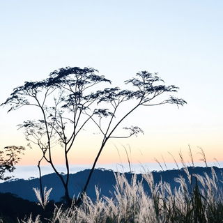 Crocodile Slipcast style, Midjourney V6.1: realistic landscape photograph of quiet dawn