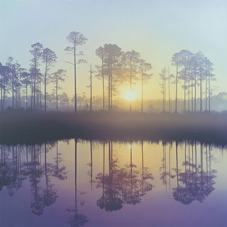 Inkwater Mythome style, Midjourney V6.1: realistic landscape photograph of quiet dawn