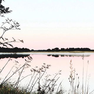 Sootographia style, Midjourney V6.1: realistic landscape photograph of quiet dawn
