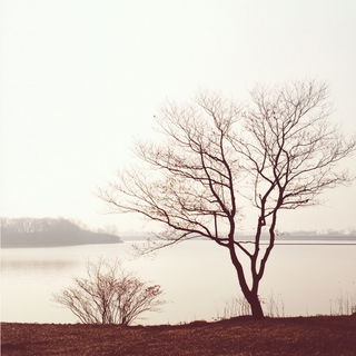 Kestrel Duet Collective style, Midjourney V6.1: realistic landscape photograph of quiet dawn