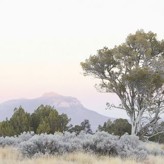 Backlit Continental Romanticism style, Midjourney V6.1: realistic landscape photograph of quiet dawn