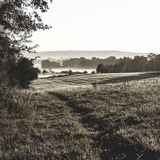 Silvafair style, Midjourney V6.1: realistic landscape photograph of quiet dawn