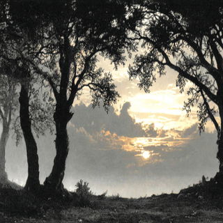 Gargoylestorm style, Midjourney V7: realistic landscape photograph of quiet dawn