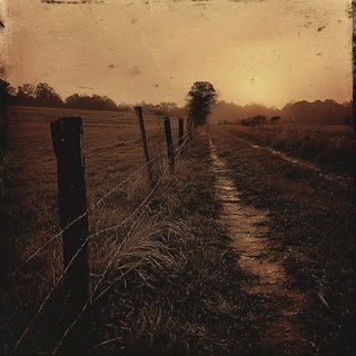 Vaporgrave style, Midjourney V7: realistic landscape photograph of quiet dawn